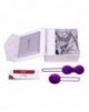 Set Bolas Chinas IntiMate [Purpura]