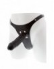 Arnes con Dildo