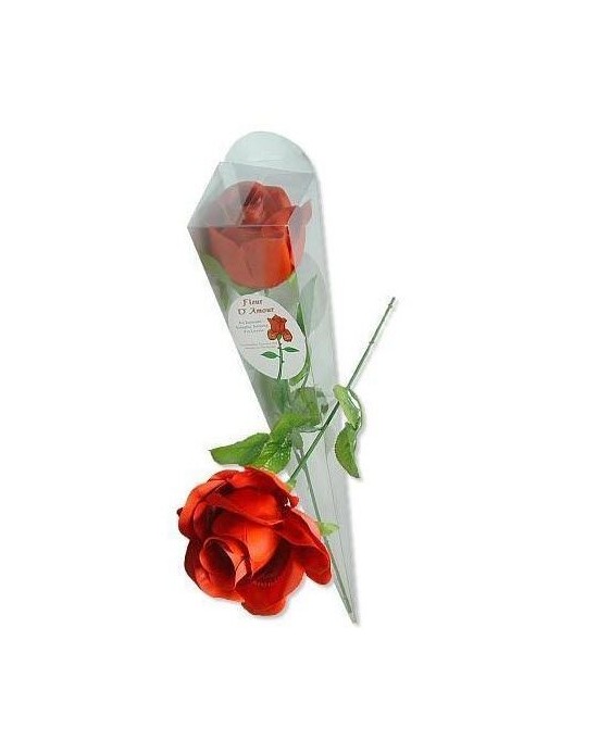Rosa Roja Dia de San Valentin