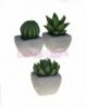 Velas Cactus Variados