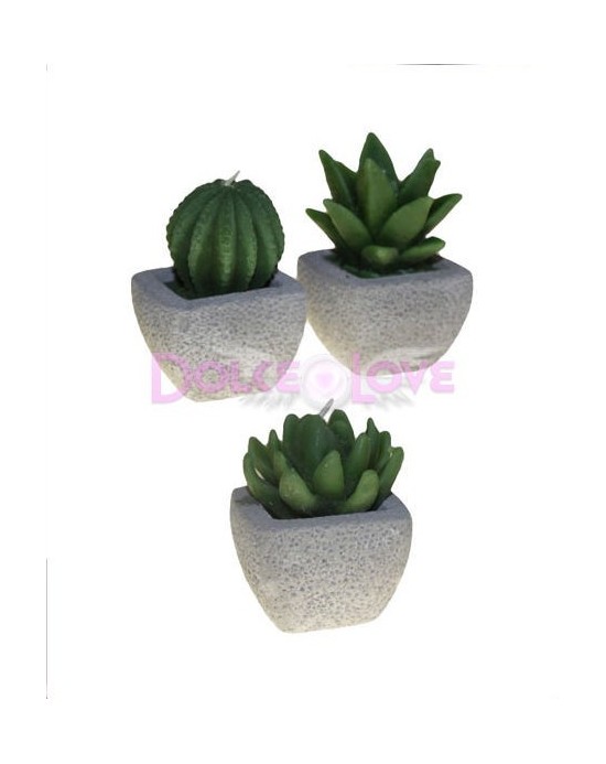 Velas Cactus Variados